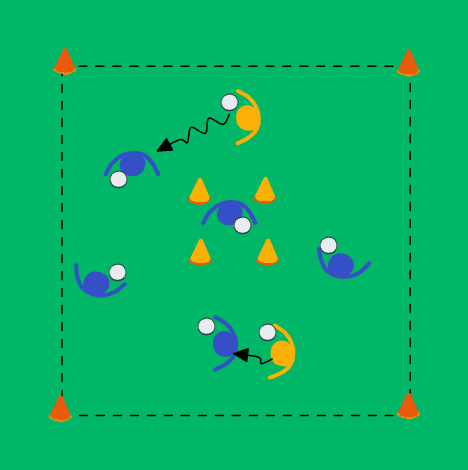 Beehive Tag