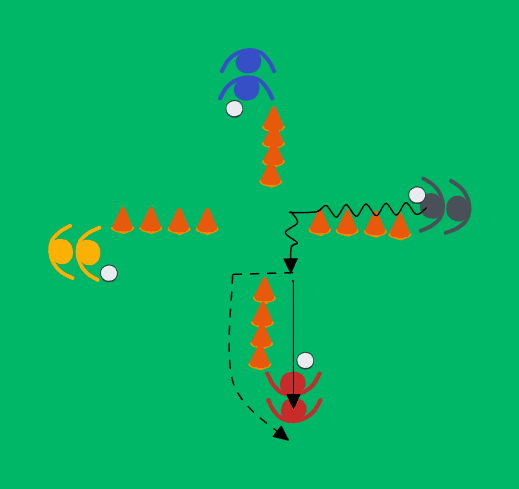 Four-line dribbling and passing drill